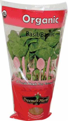 Ambrosia Organic Basil