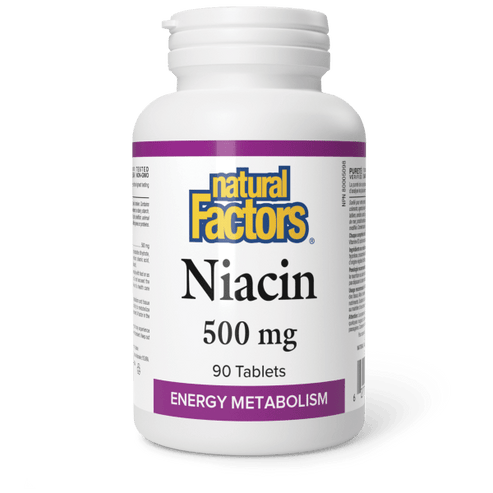 Natural Factors Niacin - 500mg