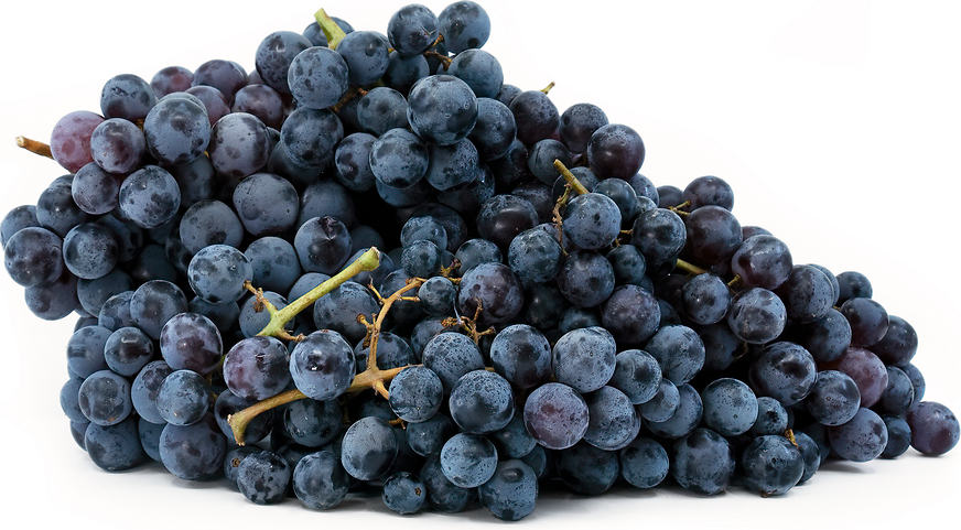 Organic Thomcord Grapes