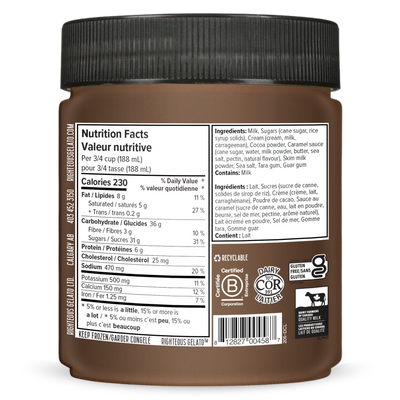Righteous Dark Chocolate Caramel Sea Salt Gelato