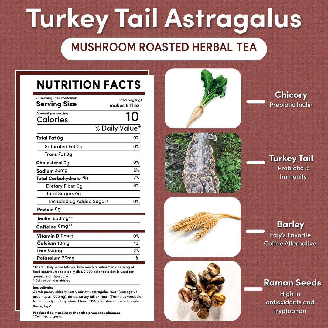 Teeccino Turkey Tail Astragalus Tea