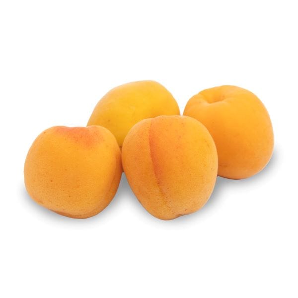 Produce Organic Apricot Clamshell