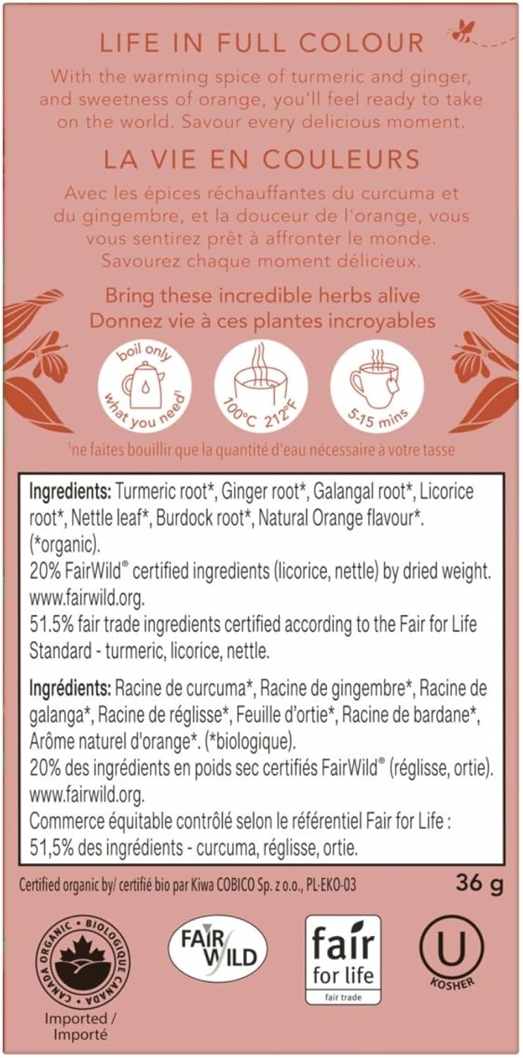 Pukka Organic Turmeric Ginger & Orange Tea