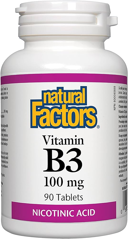 Natural Factors Vitamin B3 - 100mg