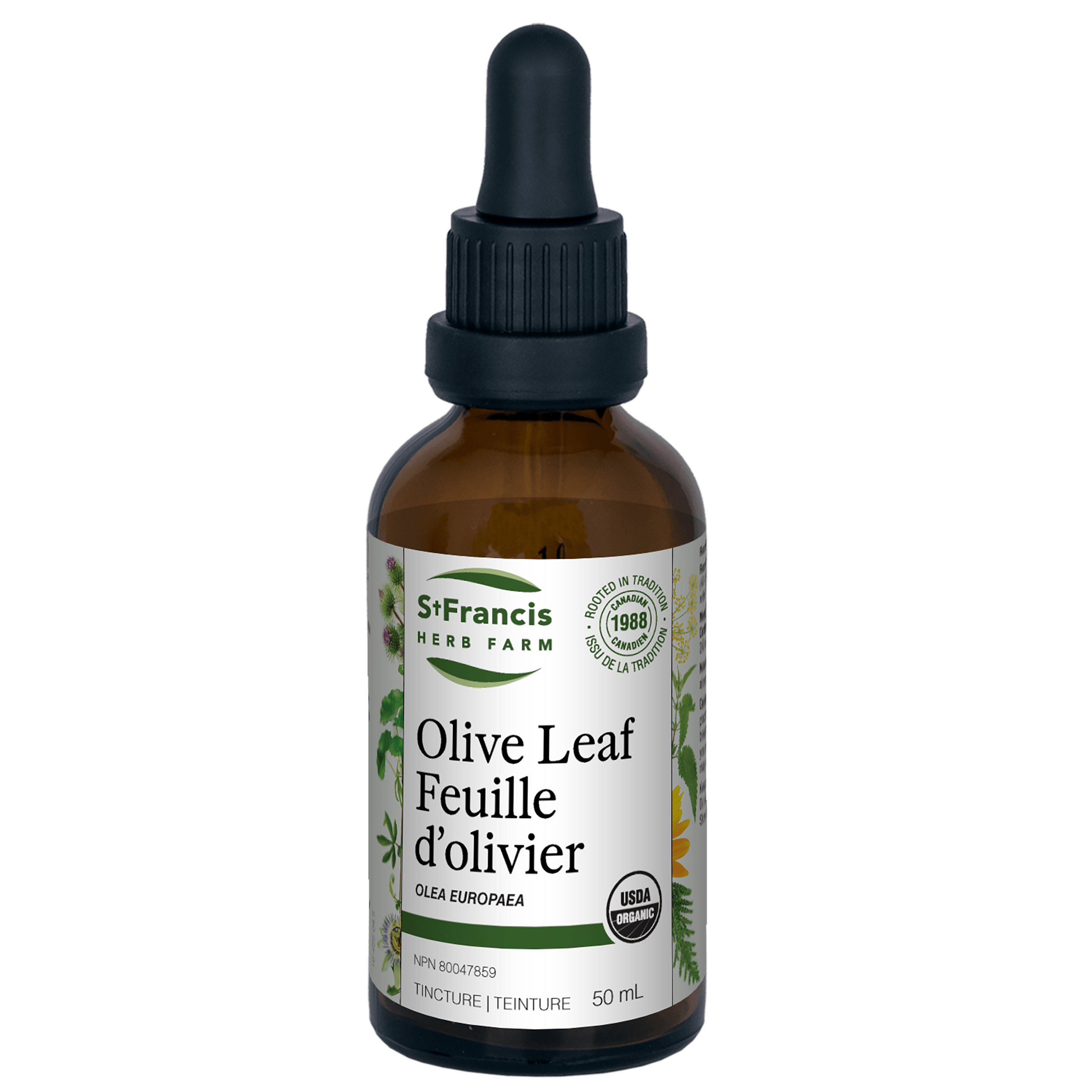 Olive Leaf Tincture