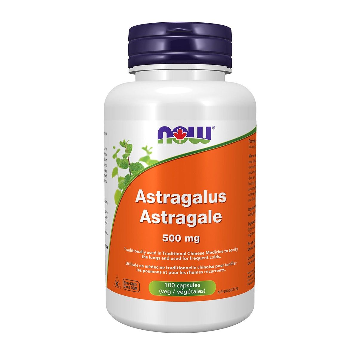 Astragalus - 500mg
