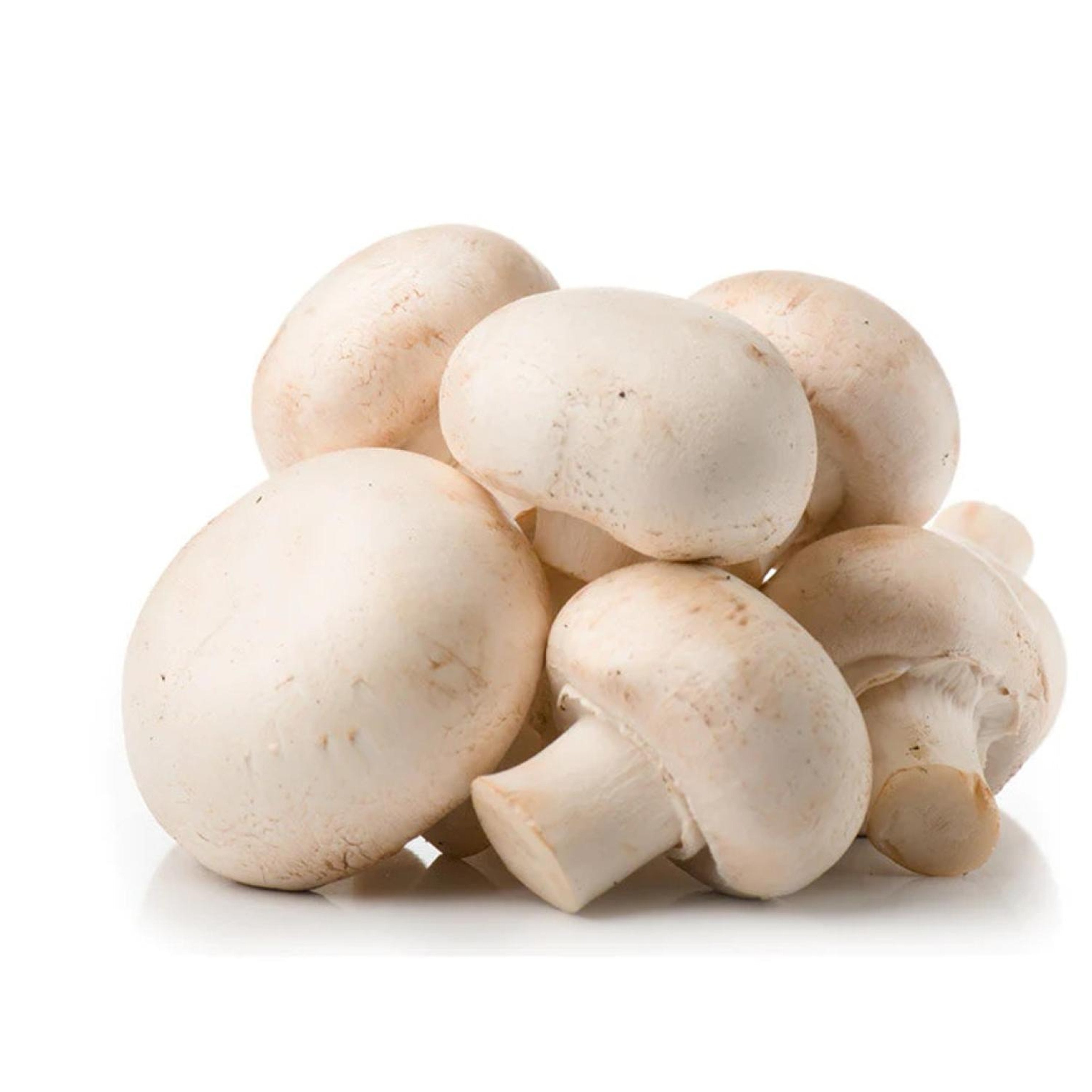 Produce Organic White Button Mushrooms