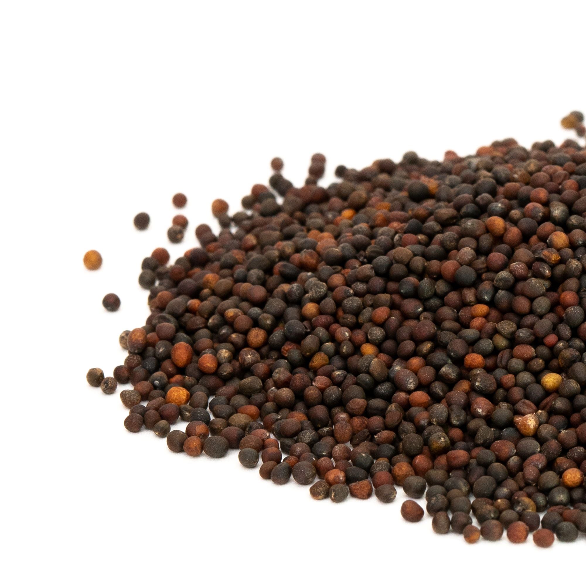 Mumm's Sprouting Seeds Red Cabbage Sprouting Seeds