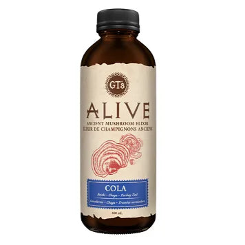 GT's Alive Cola - Ancient Mushroom Tonic