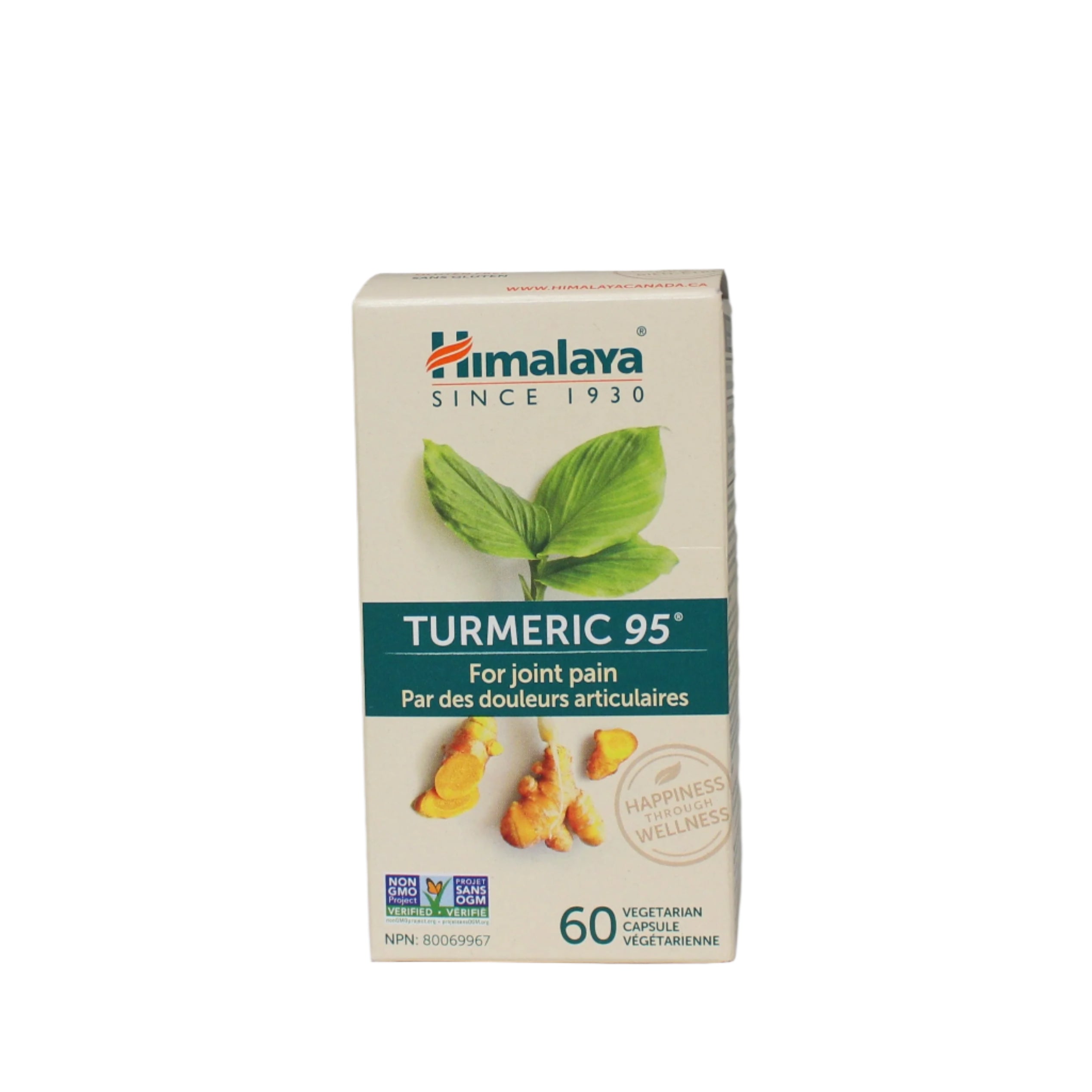 Himalaya Turmeric 95