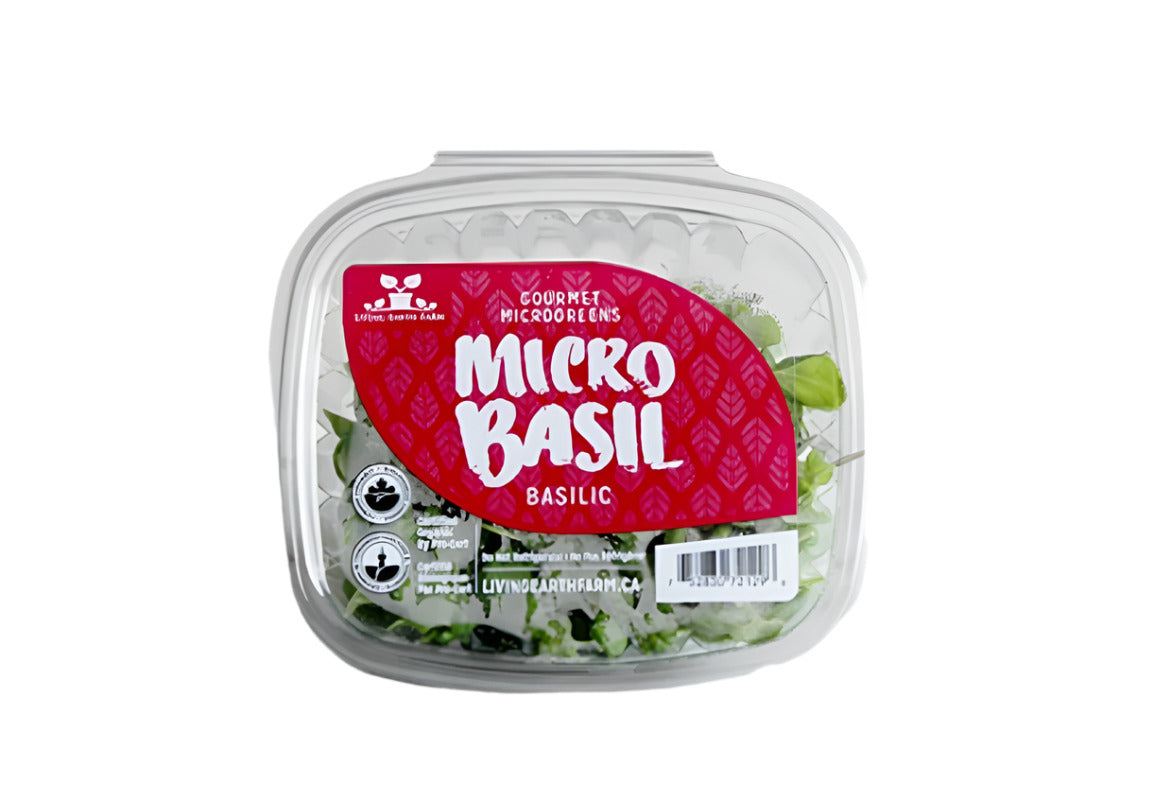 Living Earth Organic Micro Basil