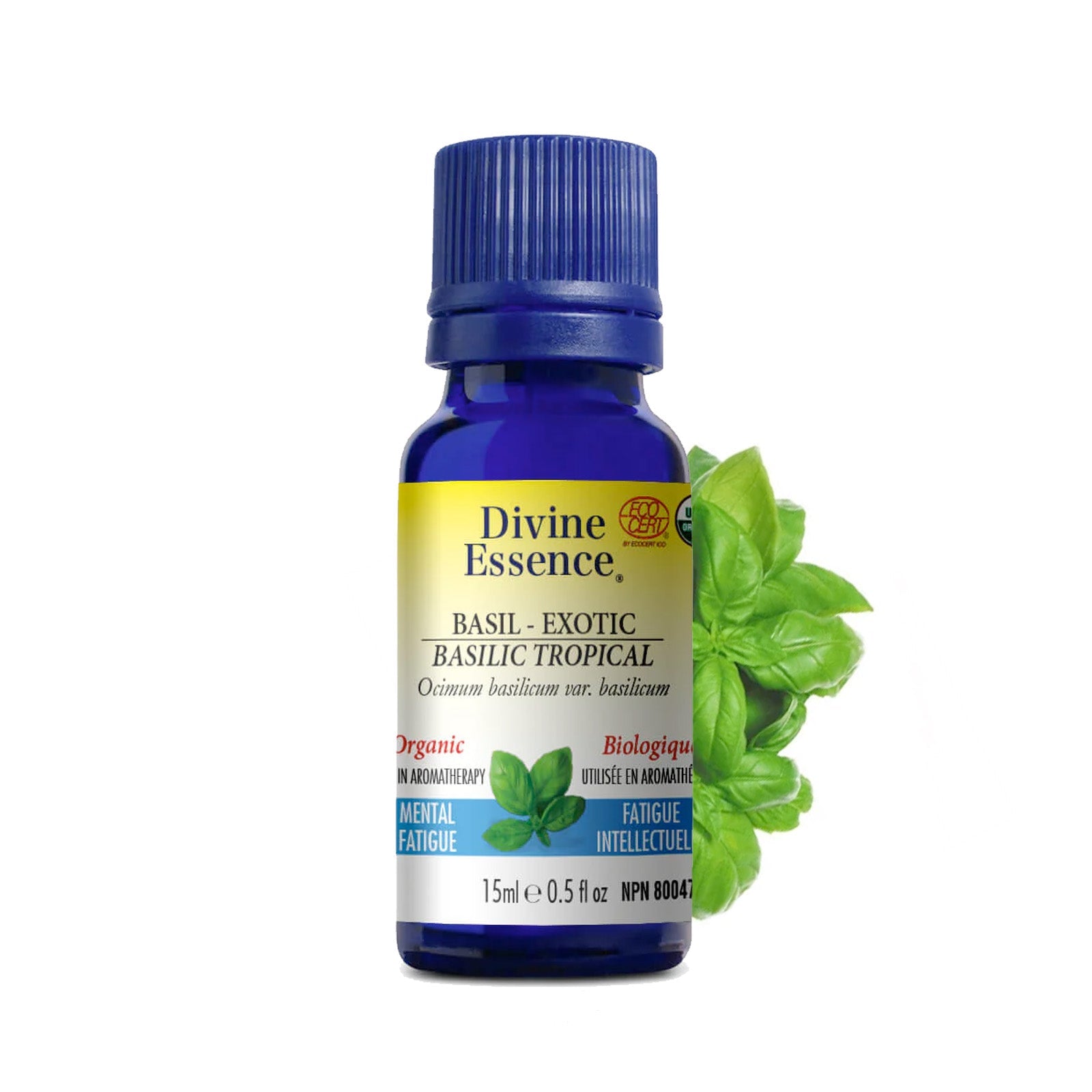 Divine Essence Organic Exotic Basil Essential Oil