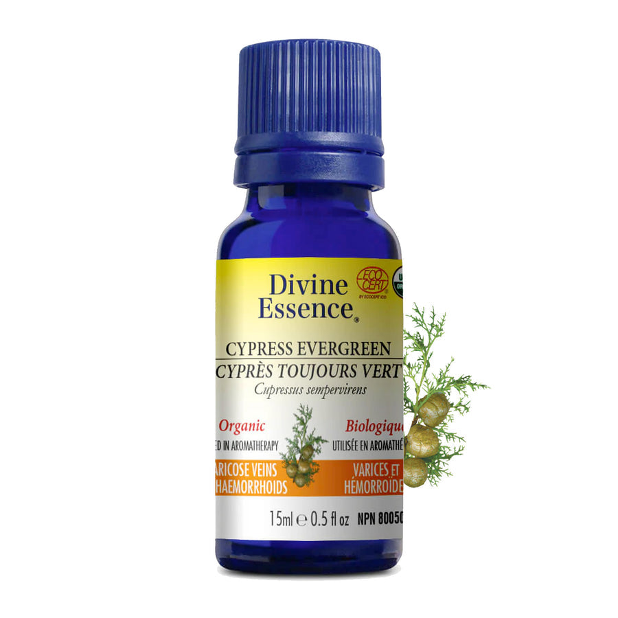 Divine Essence Organic Cypress Evergreen