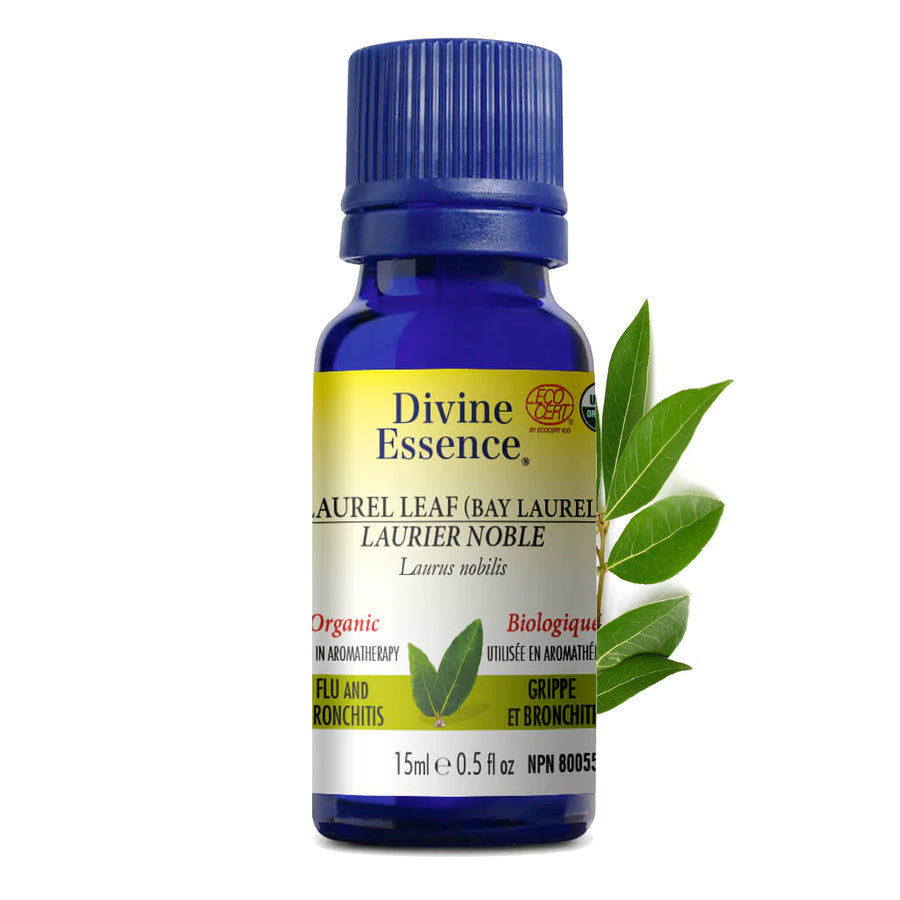 Divine Essence Organic Laurel Leaf Essential Oil