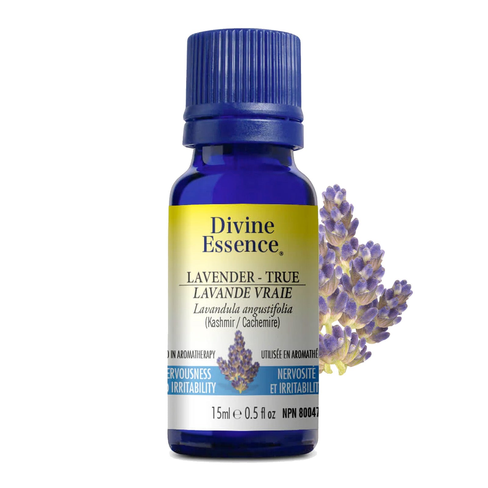 Divine Essence True Lavender Essential Oil