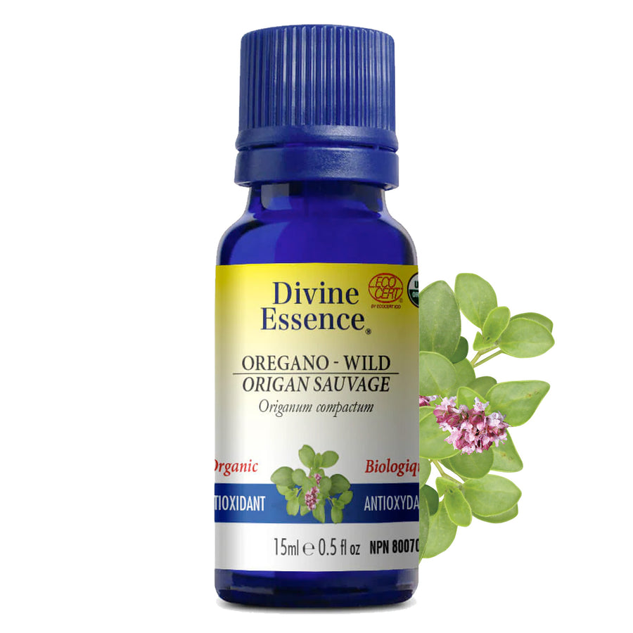 Organic Wild Oregano Essential Oil