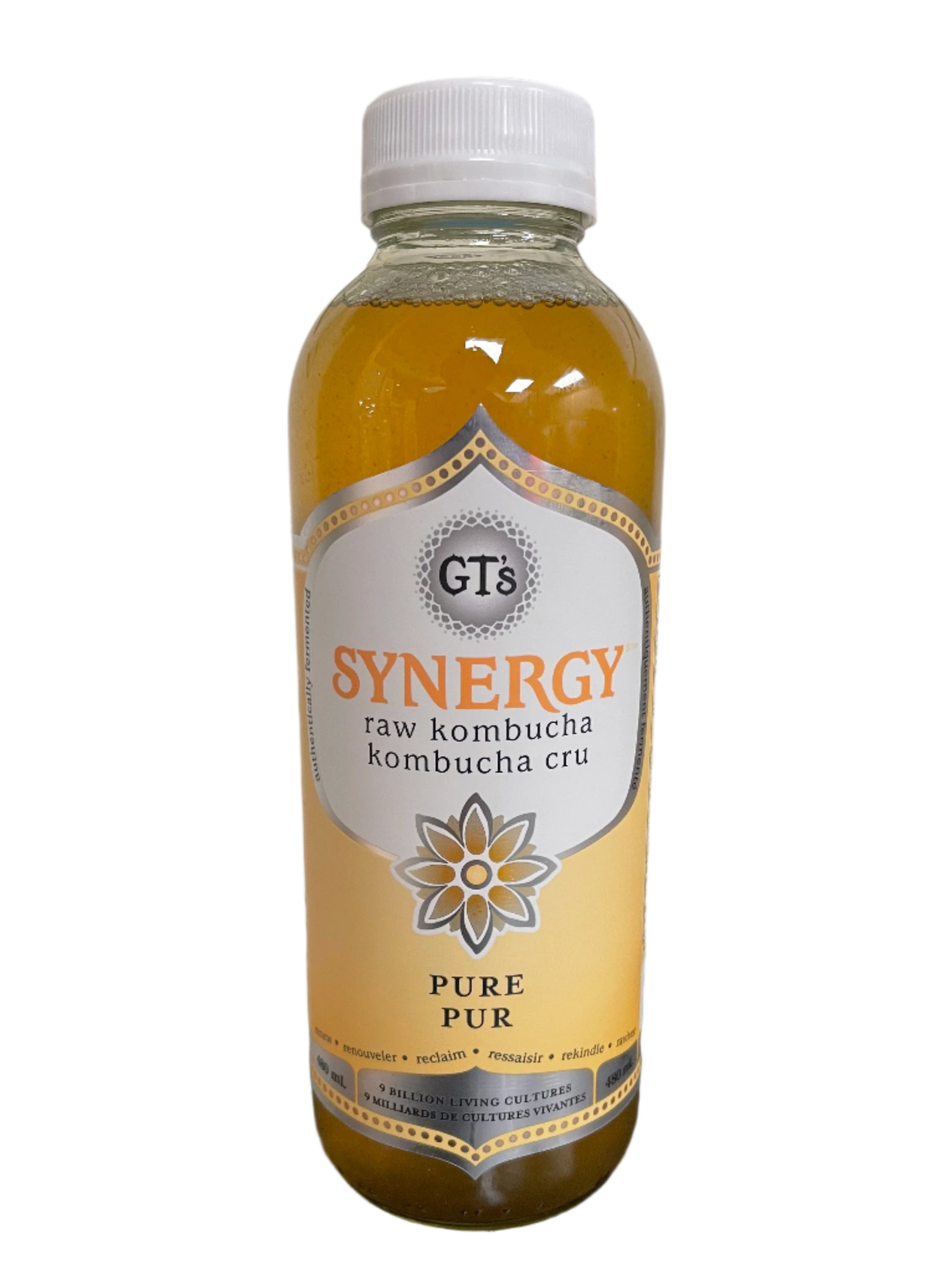 Organic Raw Original Kombucha