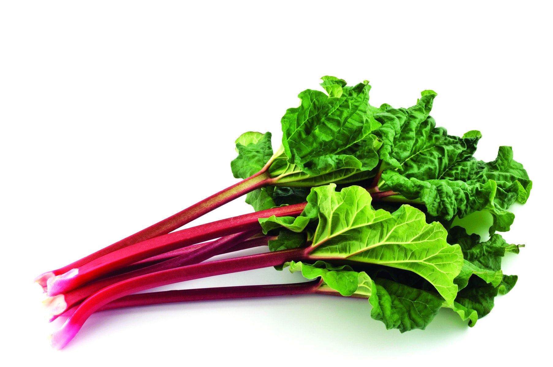 Produce Organic Rhubarb