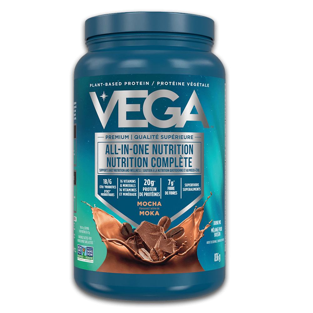 Vega One Mocha Nutritional Shake