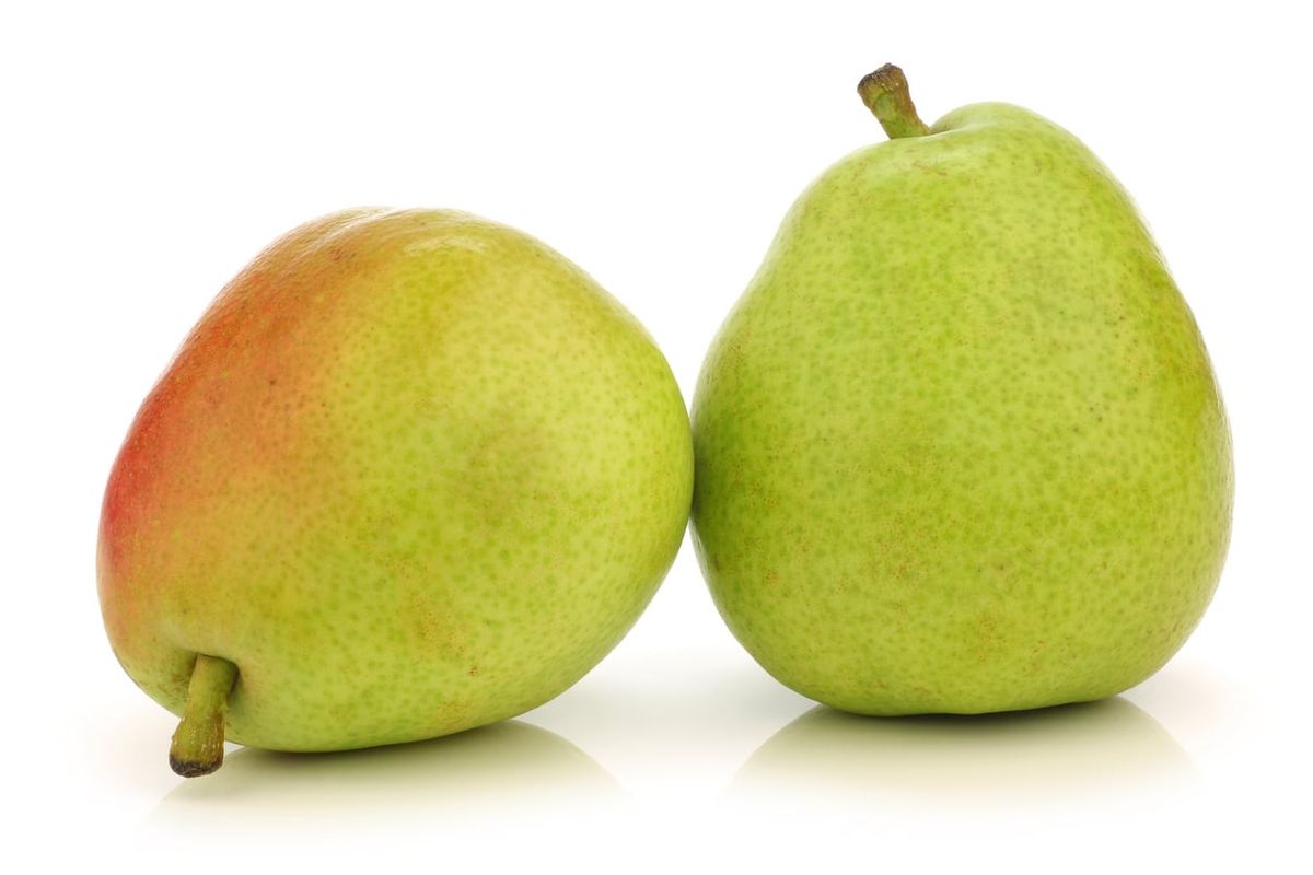 Organic D'Anjou Pears