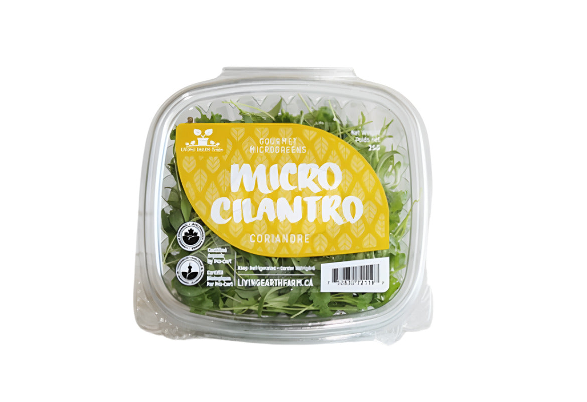 Living Earth Organic Micro Cilantro