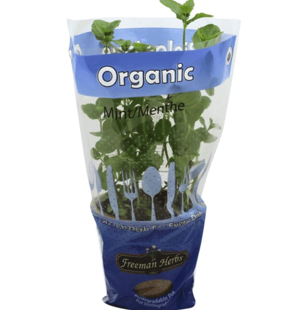 Organic Mint