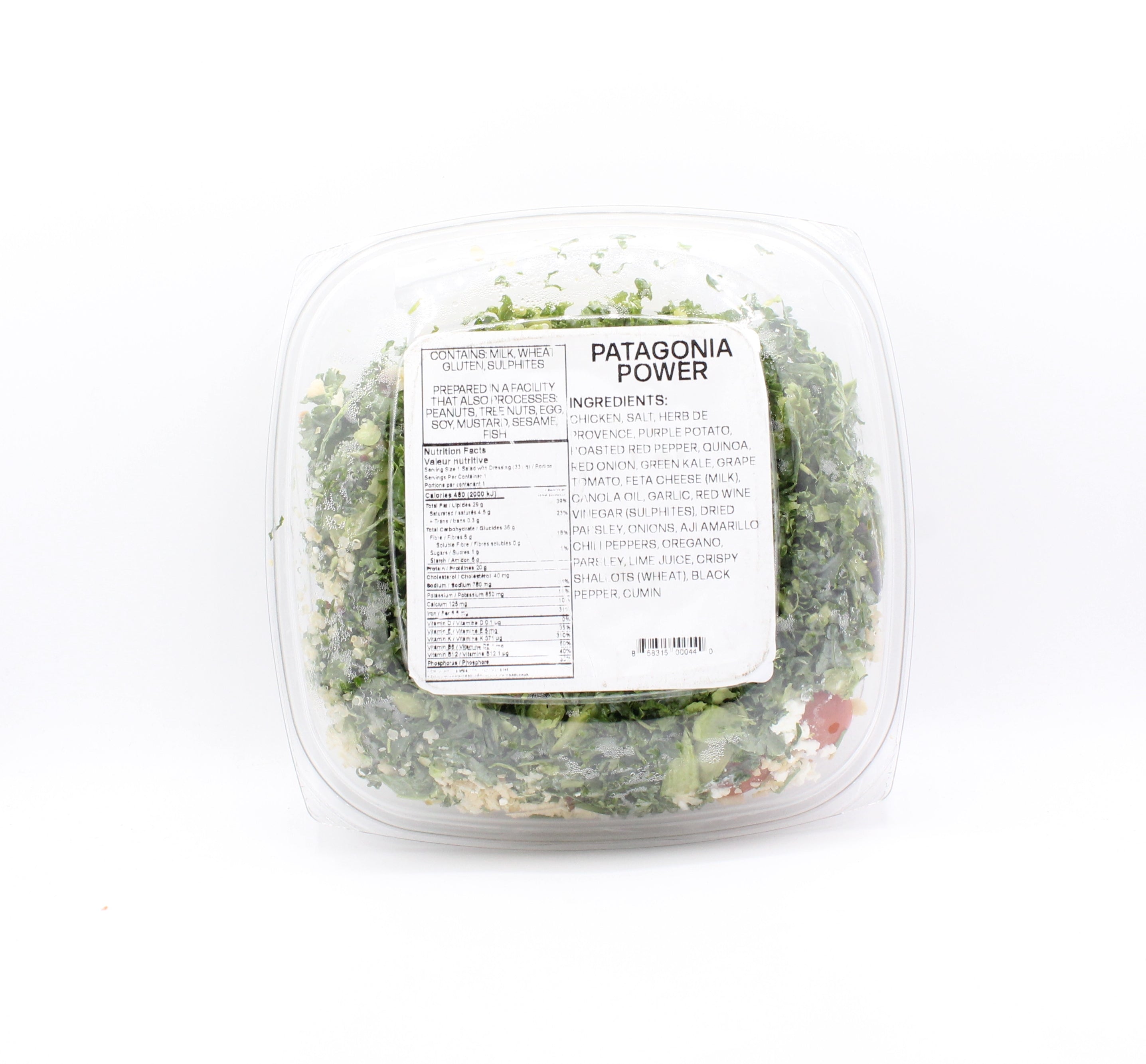 Feast Patagonia Power Salad