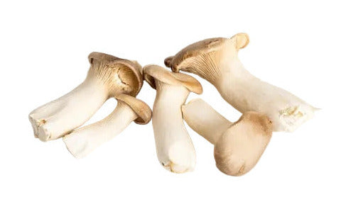 Produce Organic King Oyster Mushrooms