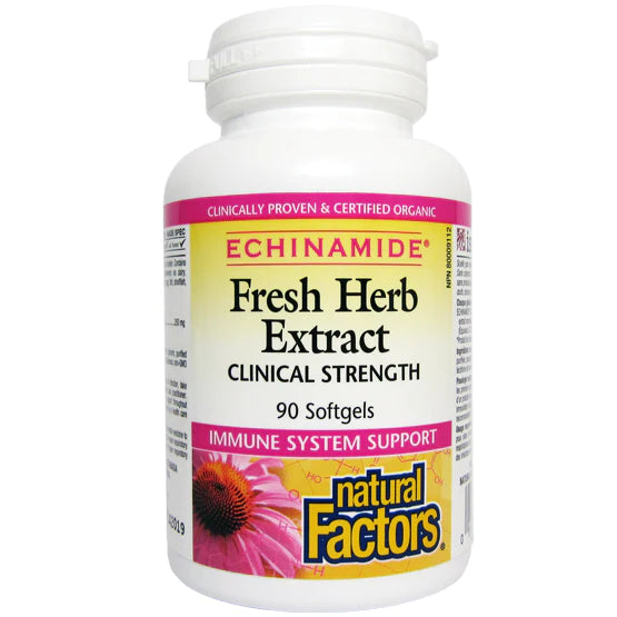 Anti-Cold Echinamide