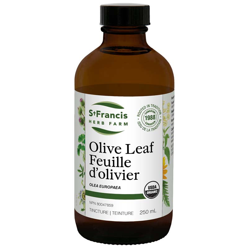 St. Francis Herb Farm Olive Leaf Tincture