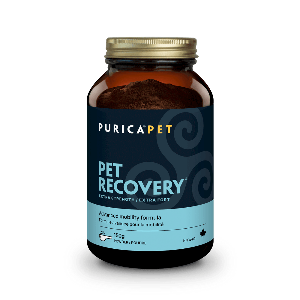 Extra Strength Pet Recovery