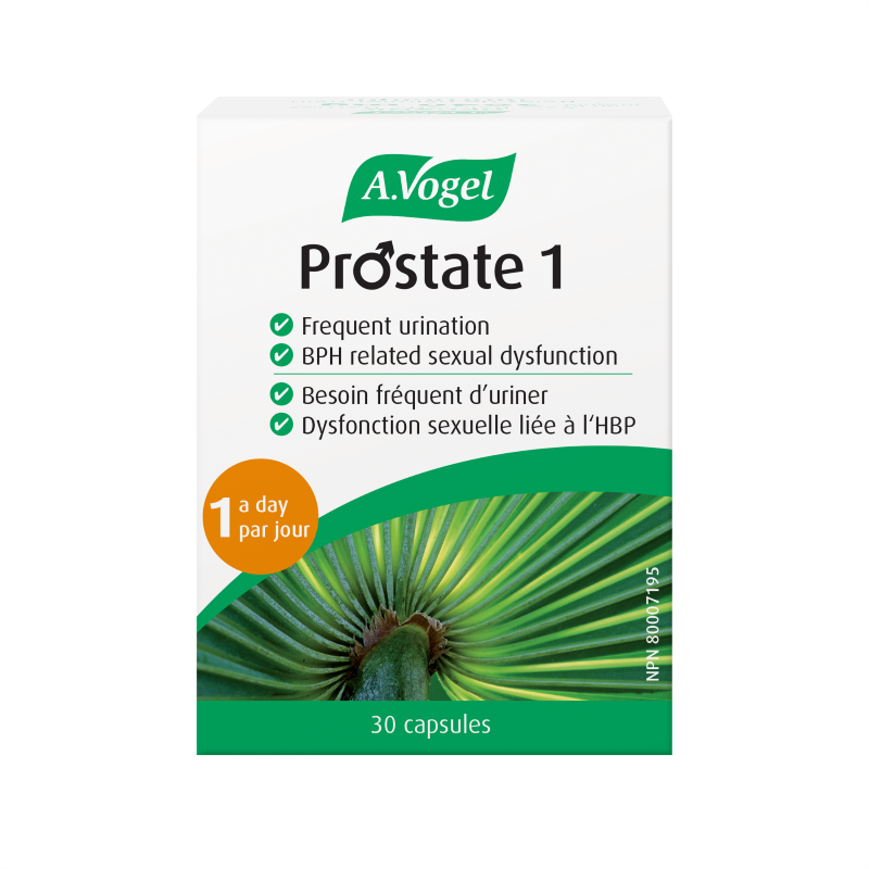 A. Vogel Prostate 1