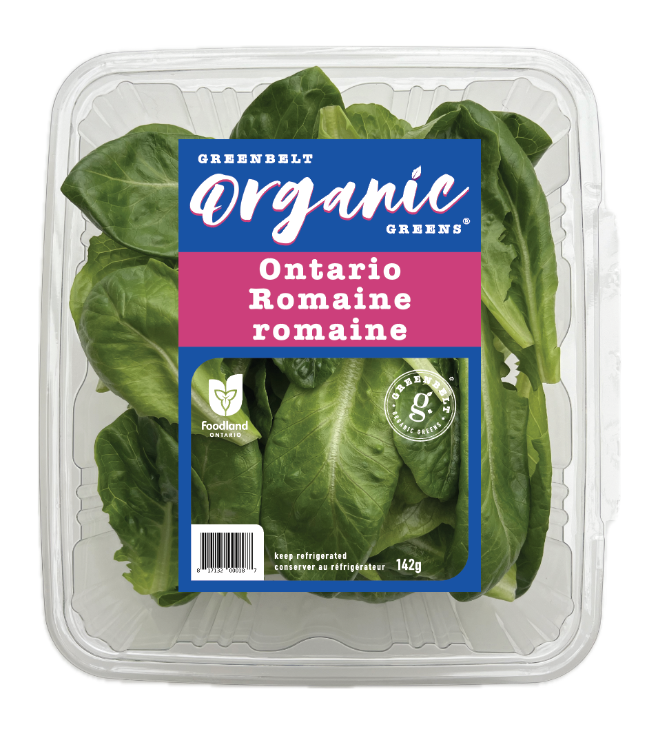 Greenbelt Green Organic Ontario Romaine Lettuce