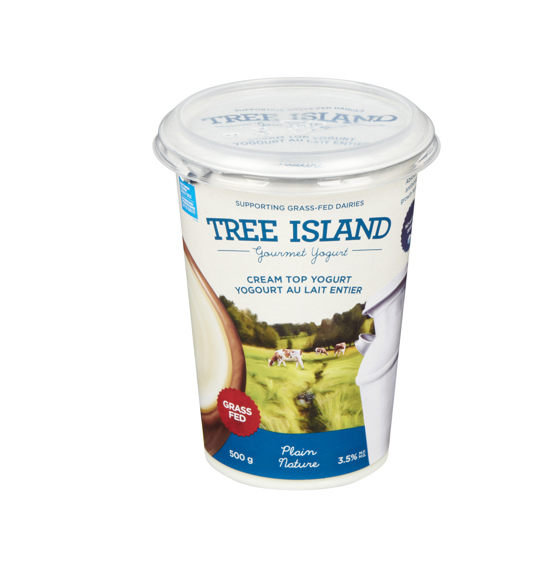 Tree Island Plain Cream Yogurt