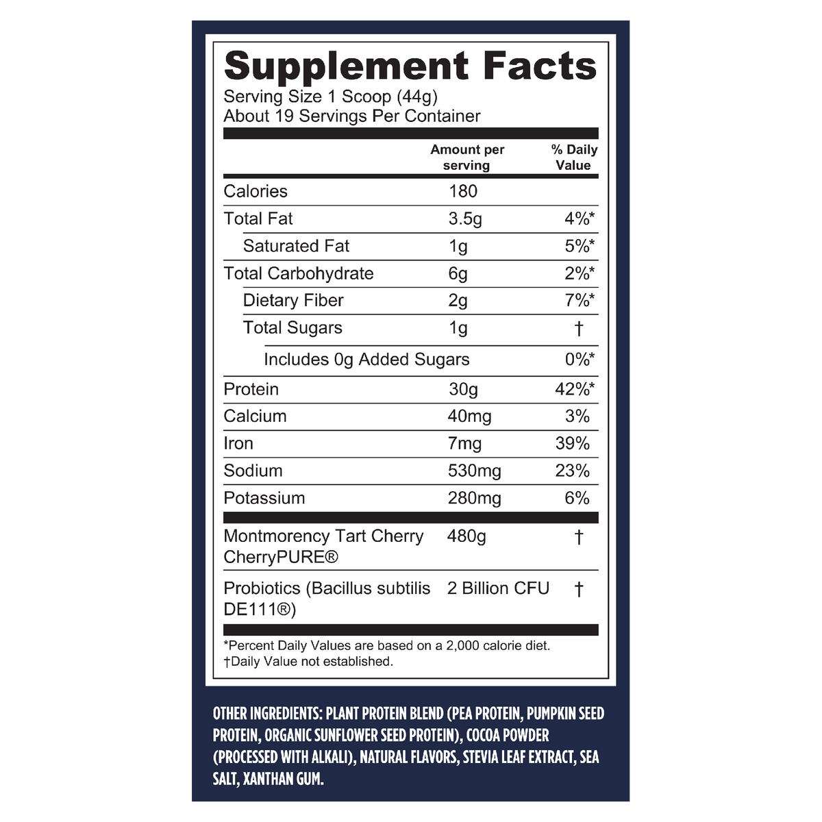Vega Sports Performance Chocolate