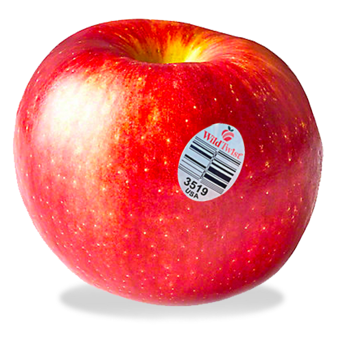 Produce Organic WildTwist Apples