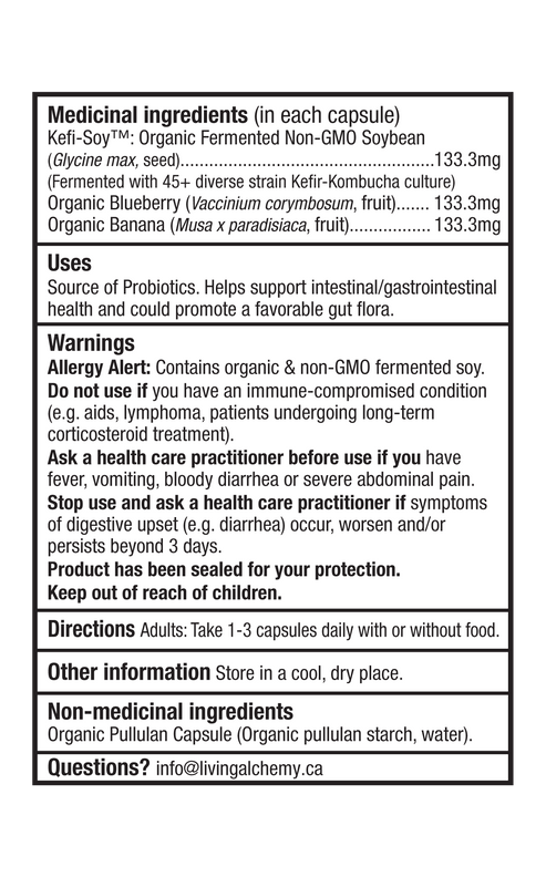 Living Alchemy Your Flora Family