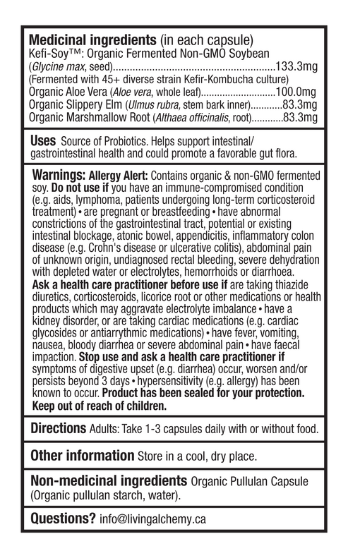 Living Alchemy Your Flora Terrain