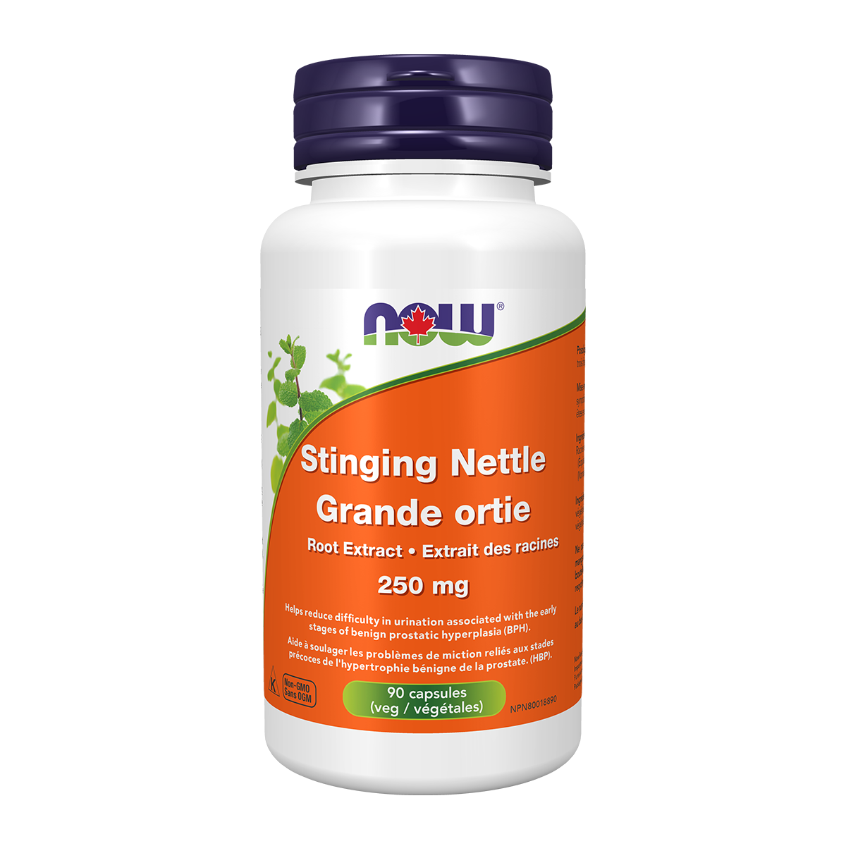 Now Nettle Root Extract - 250mg