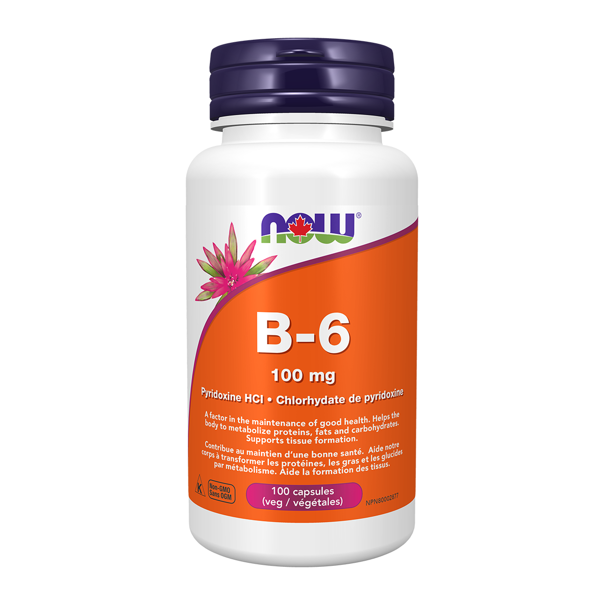 B6 - 100Mg