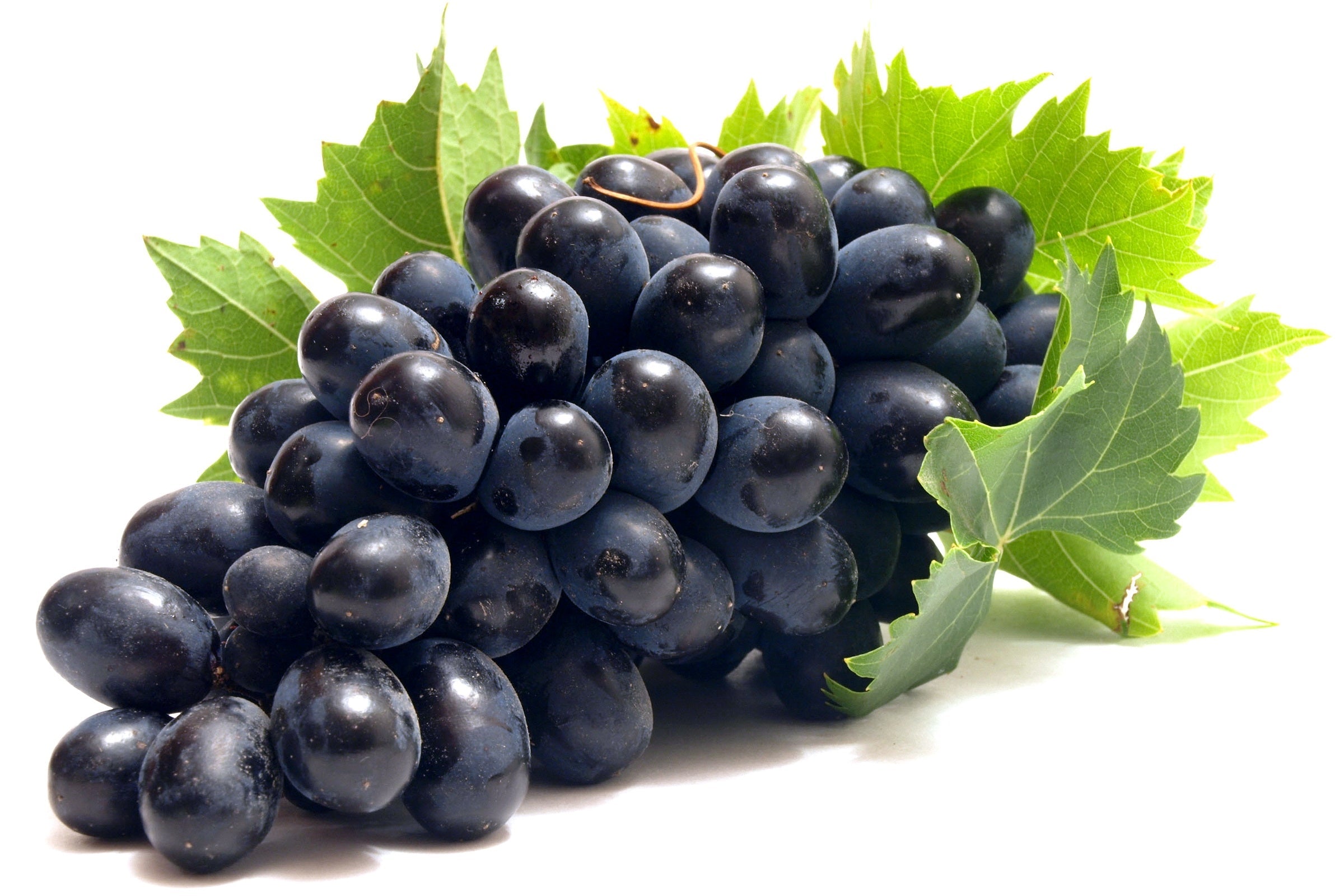 Produce Organic Black Grapes