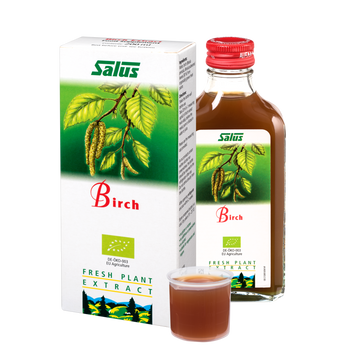 Organic Birch Juice