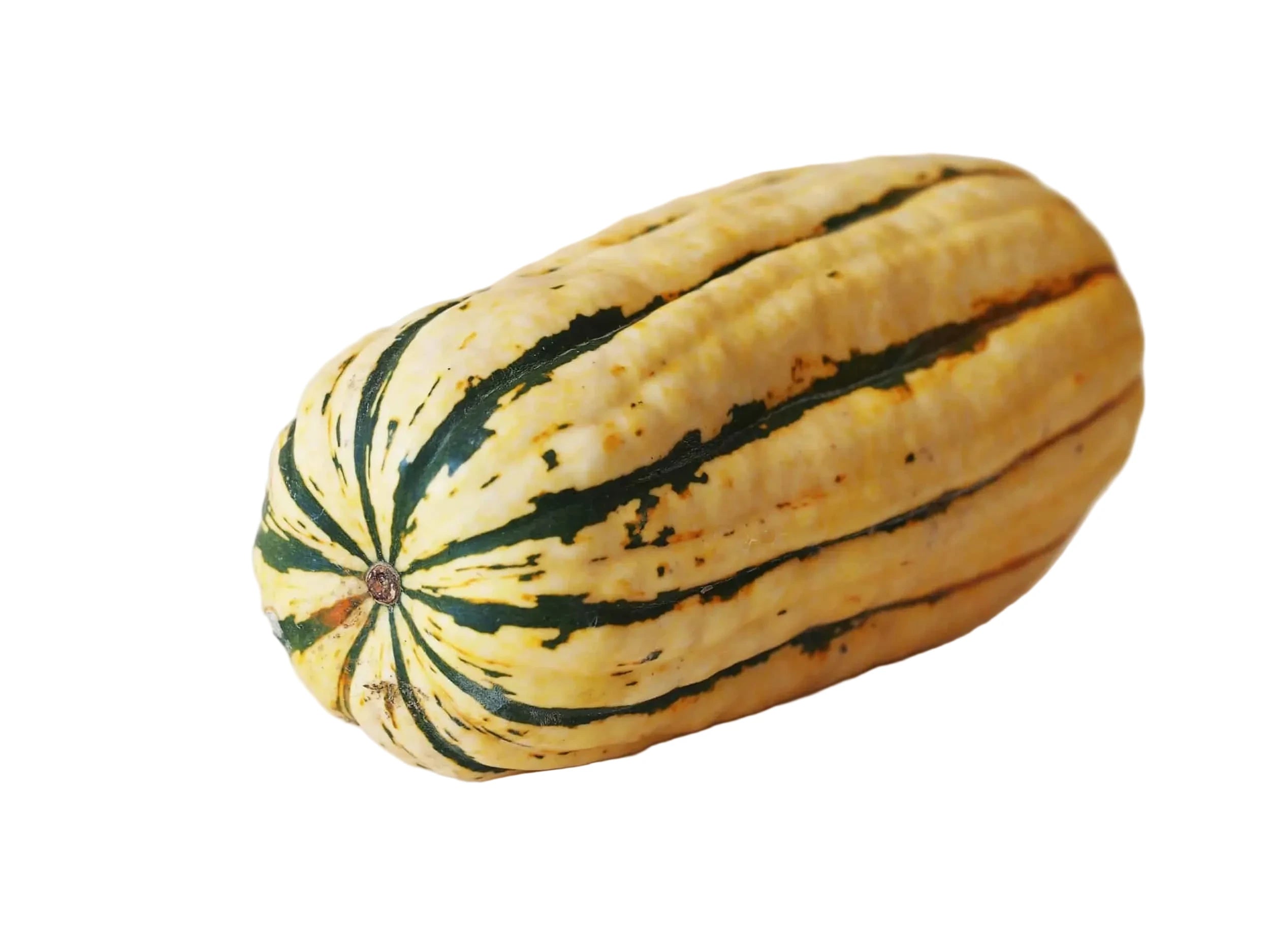 Produce Organic Delicata Squash