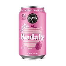 Remedy Kombucha Raspberry Sodaly