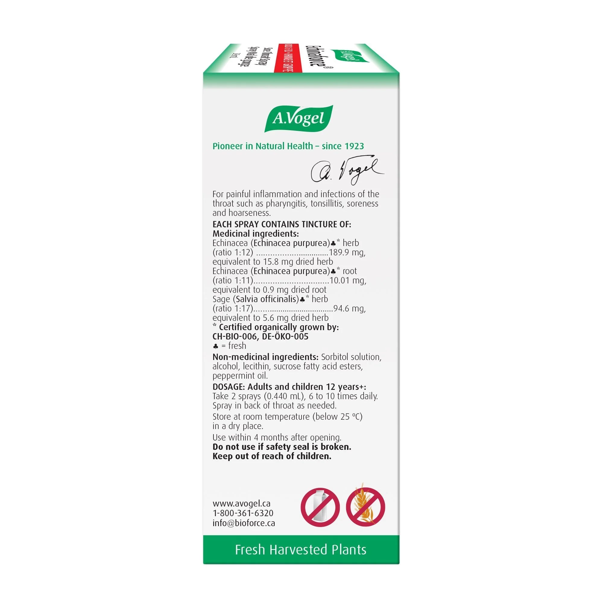 Echinaforce Sore Throat Spray