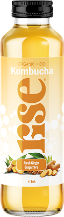 Organic Ginger Kombucha