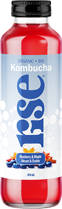 Organic Raw Blueberry Maple Kombucha