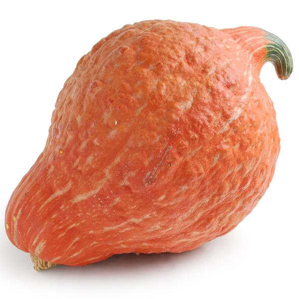 Produce Organic Hubbard Squash