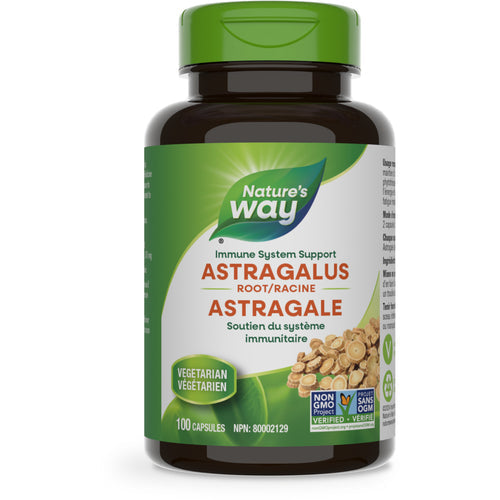 Astragalus