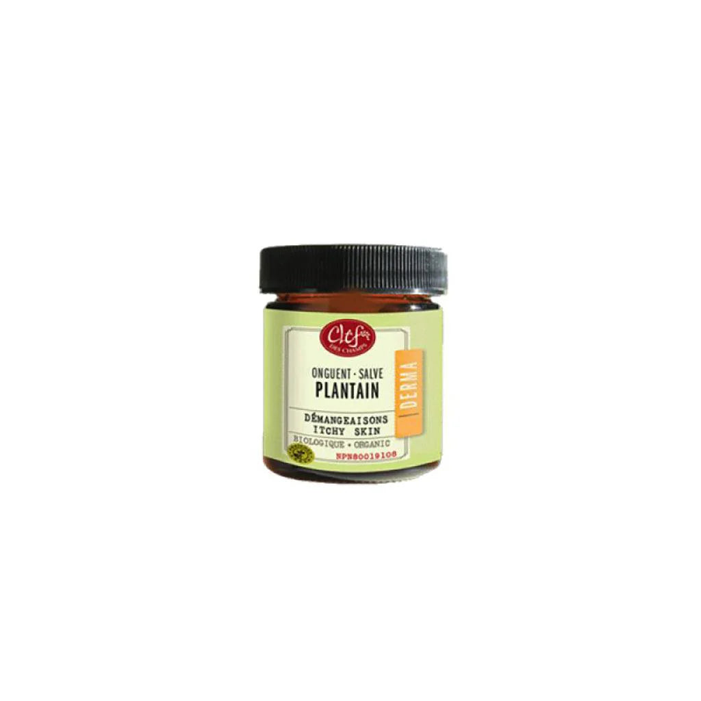 Organic Plantain Salve